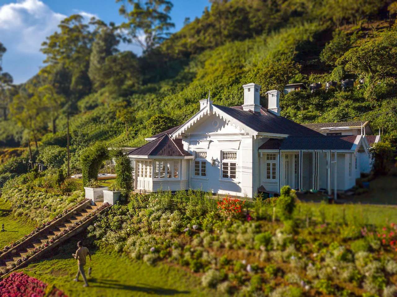 Image of  The Clovelly Bungalow 