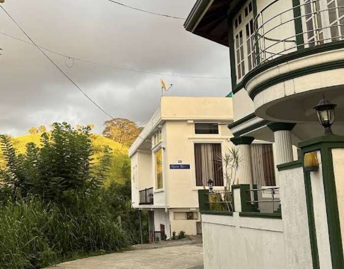 Image of  Kandy Alpine Breeze 