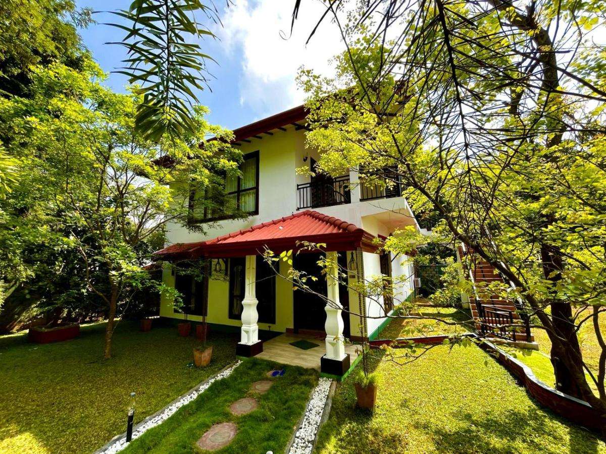 Image of  Sigiriya Cashew Palace Resort 