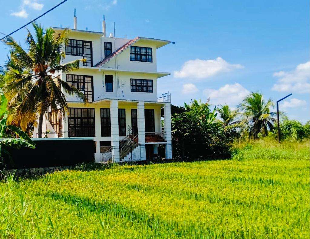 Image of  Freedom of Green Rice View 