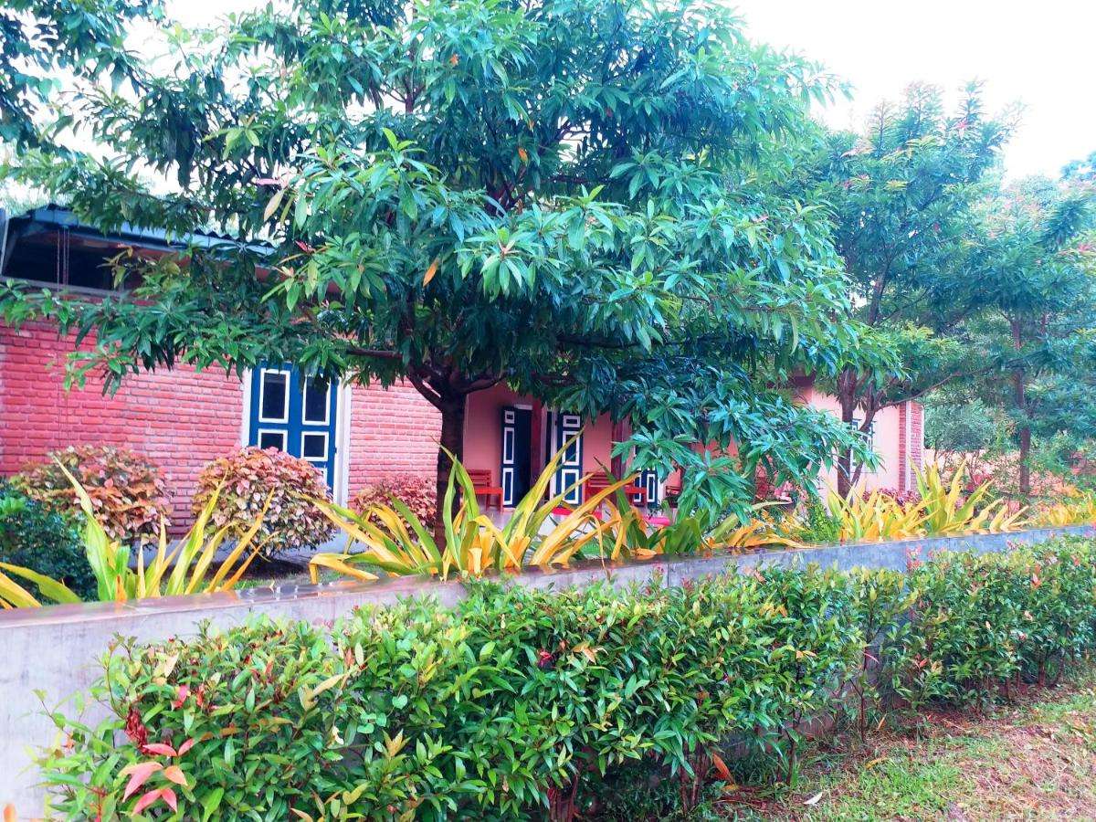 Image of  Honey Tree Polonnaruwa 