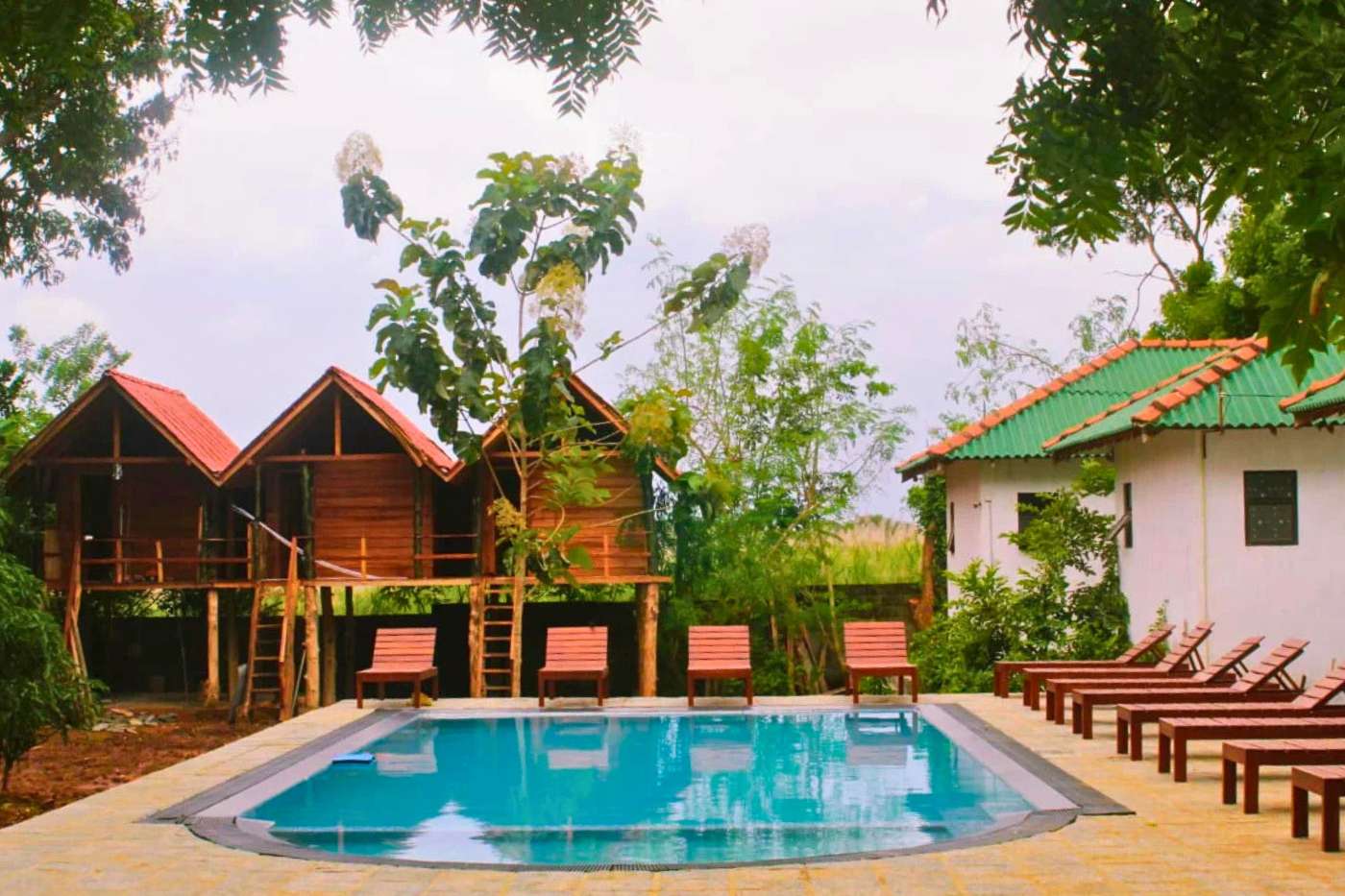 Image of  Sunrise Udawalawe Resort 