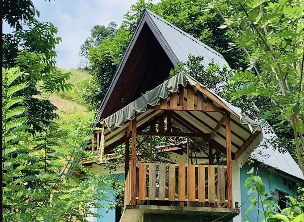 Image of  Tea Cabin By Hoyts 