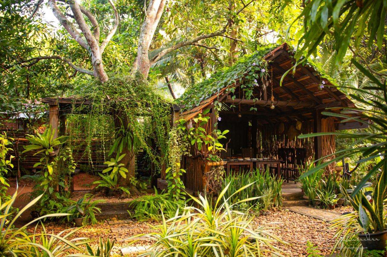 Image of  Green Paradise Cottage Udawalawa 