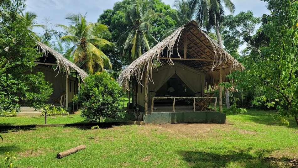 Image of  Jungle View River Camping 