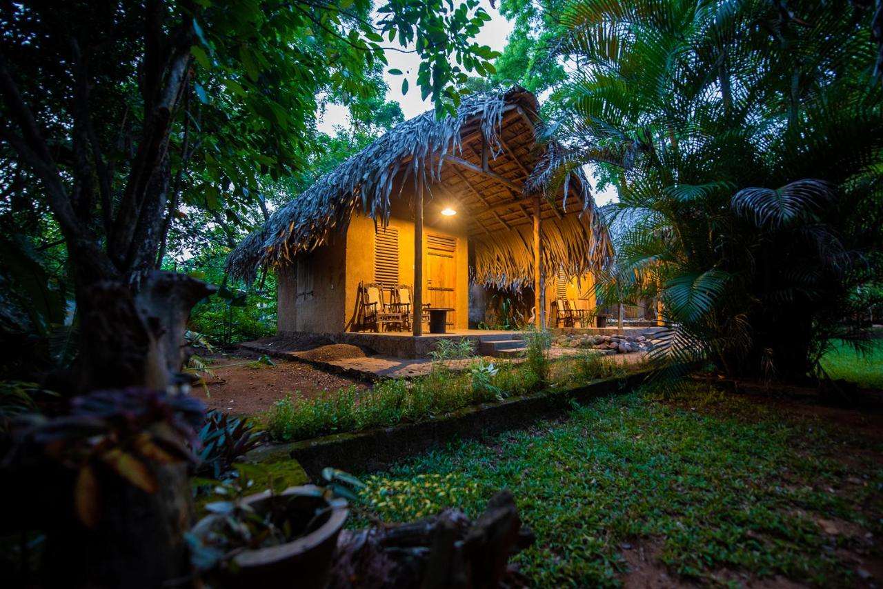 Image of  Private Organic House 