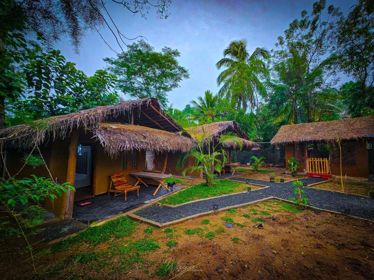 Image of  Wild Safari Clay House 