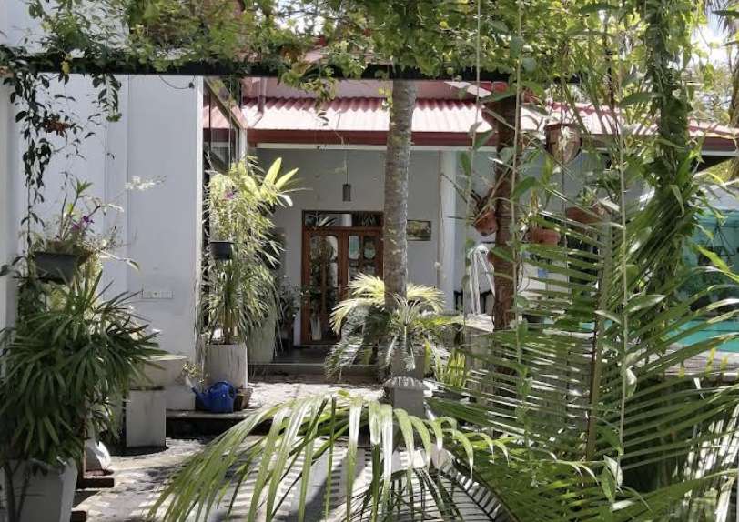 Image of  Hotel IBIS Udawalawe 
