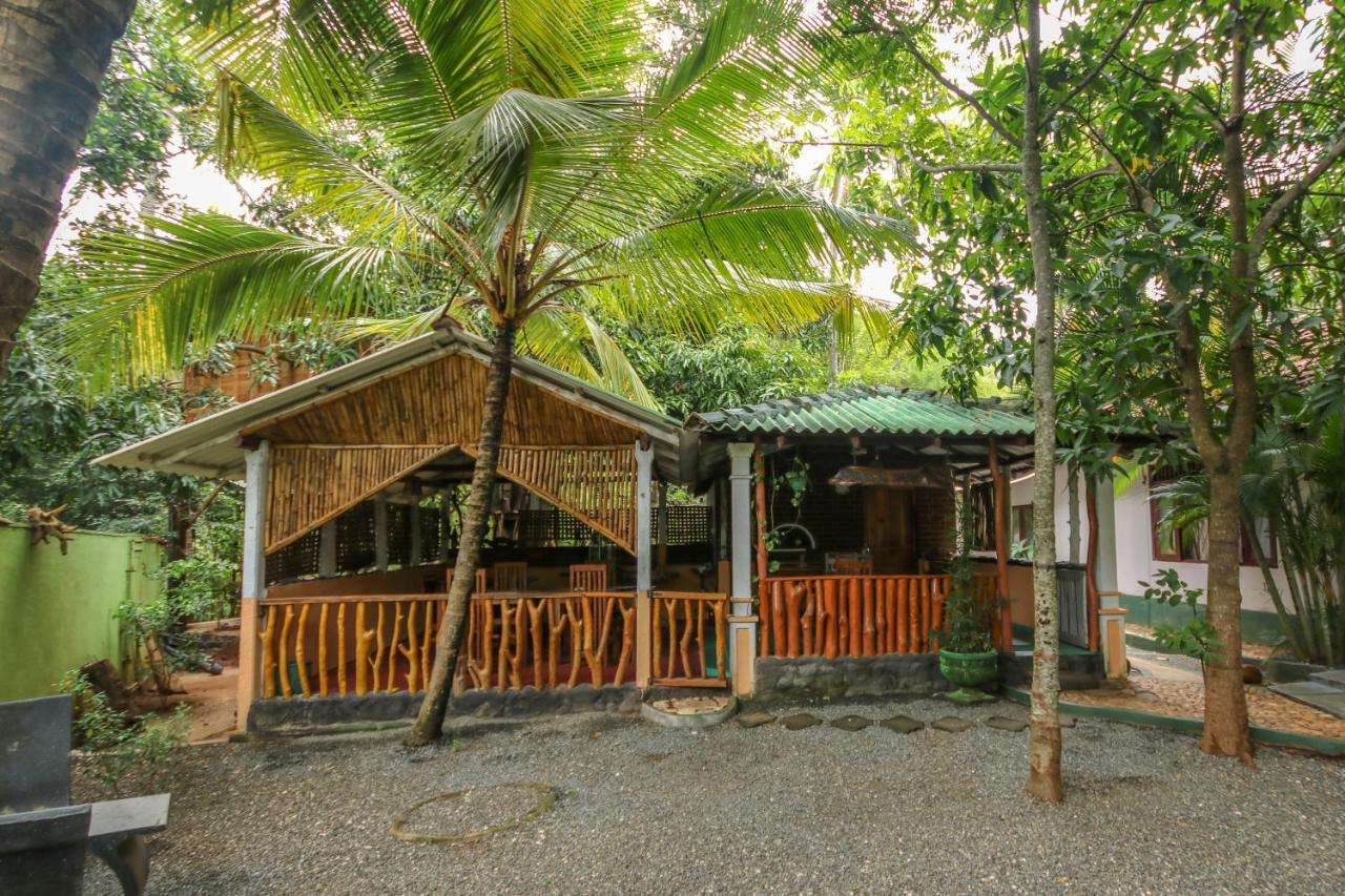 Image of  Green Park Safari House & Eco Tree House 