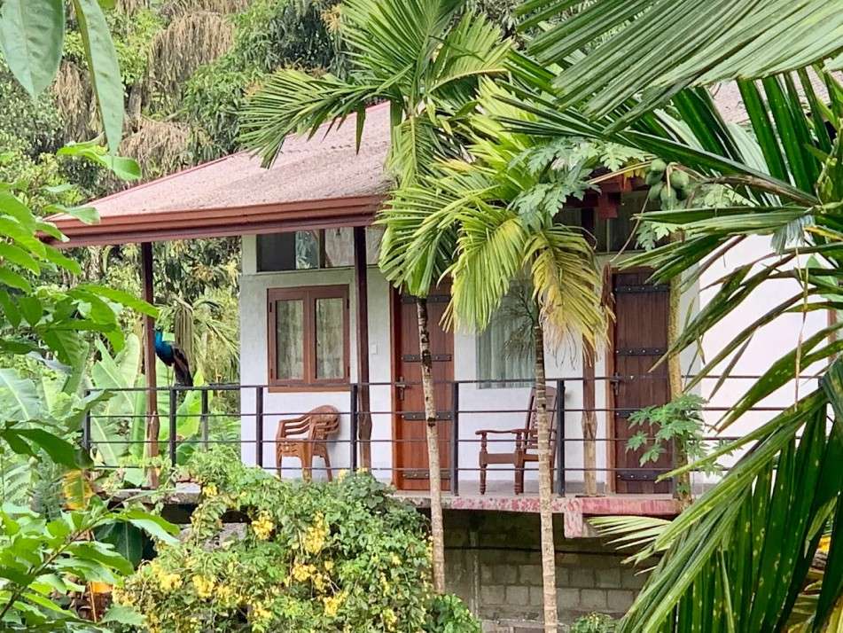 Image of  Sunil's Homestay Sinharaja 