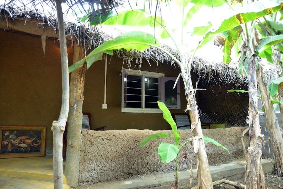 Image of  Green Leaves Garden 