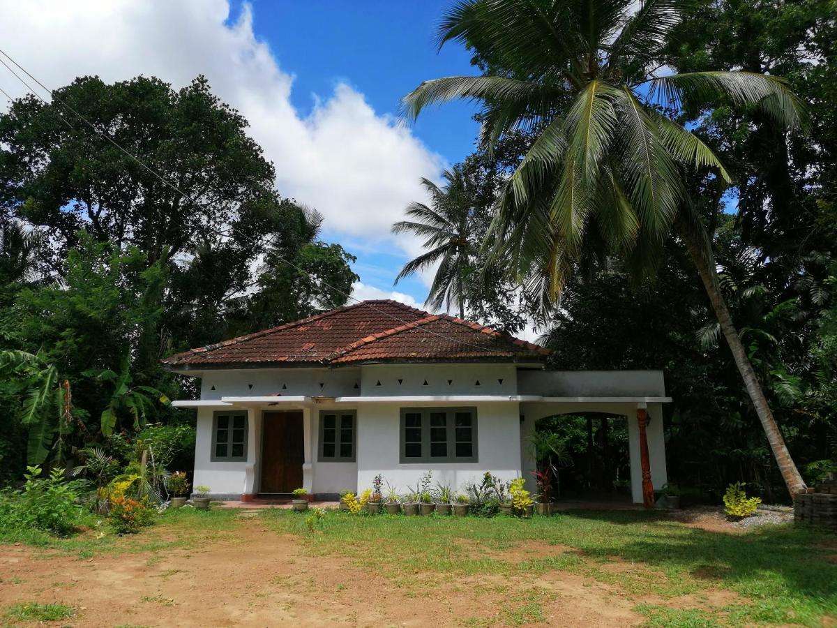 Image of  Udara's Colombo Residencies 