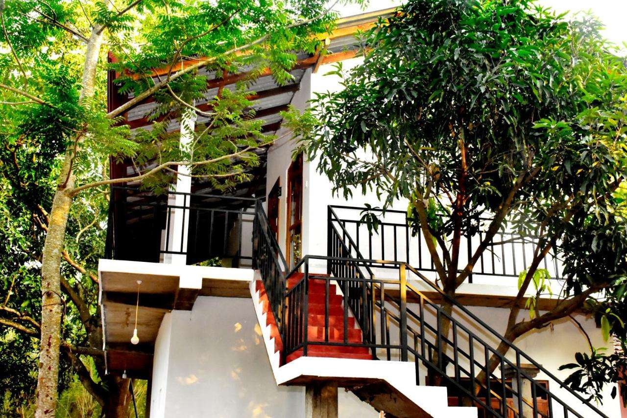 Image of  Wild Heaven Udawalawe 