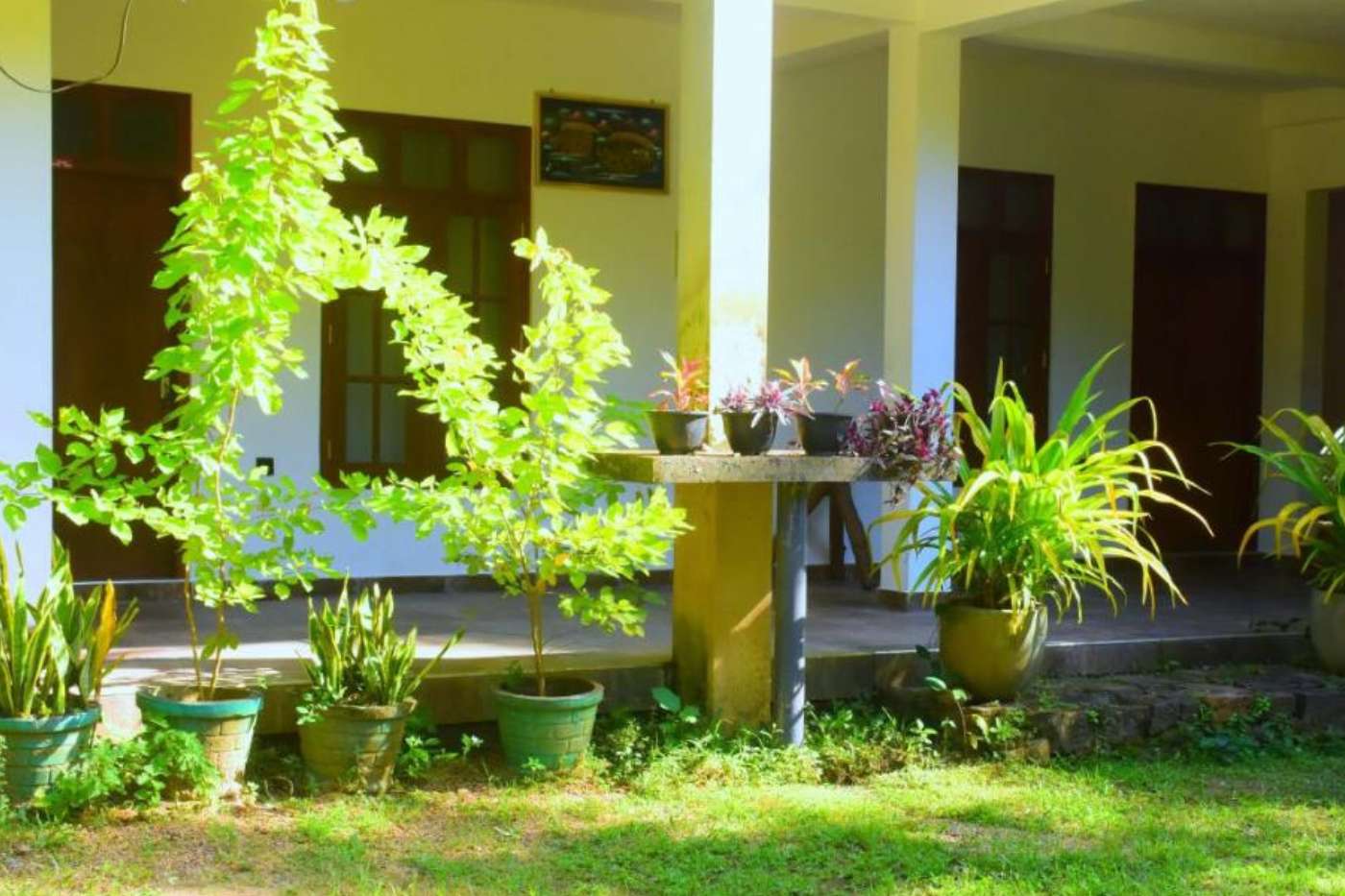Image of  Aramba Safari Resort 