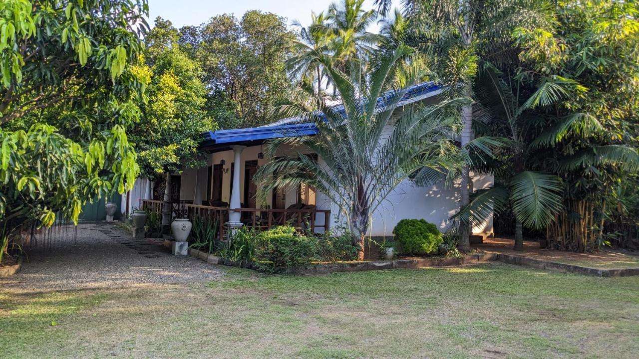 Image of  Avian Garden Udawalawe 