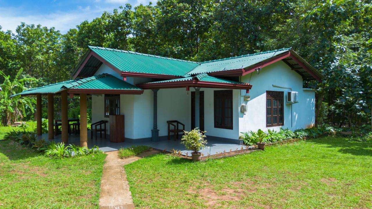Image of  The Laura Udawalawe 