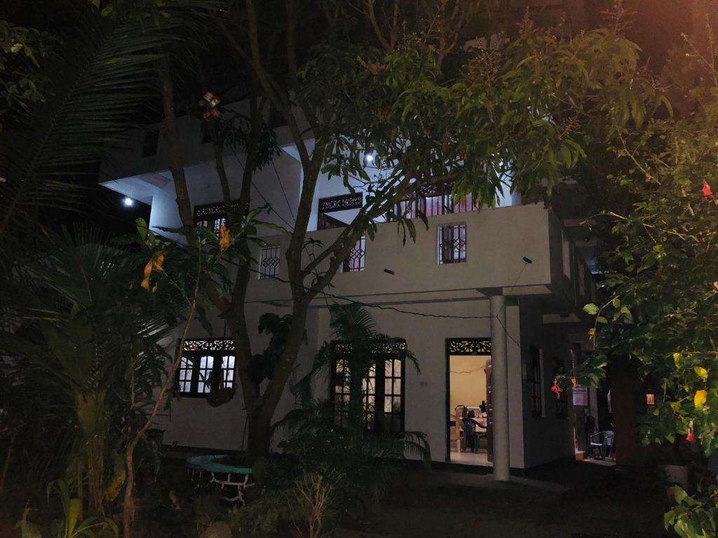 Image of  Seagull's Nest 