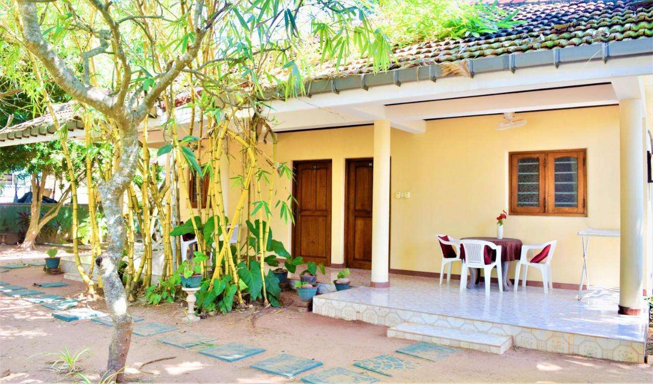 Image of  Rico Shadow Guest House 