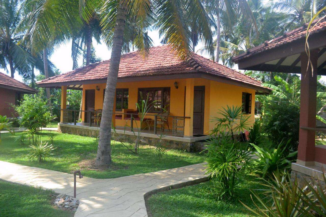 Image of  Puetz Travels Beach Resort 