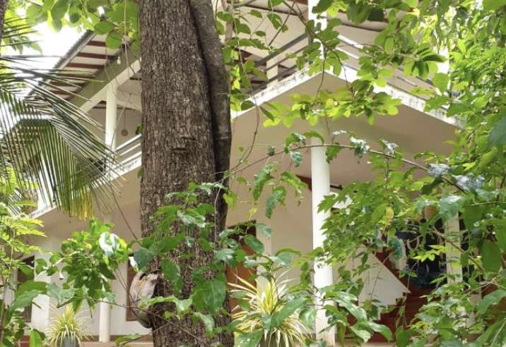 Image of  Yonara Green Rest 