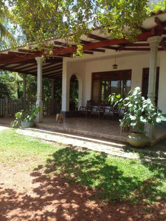 Image of  Muthu Villa 