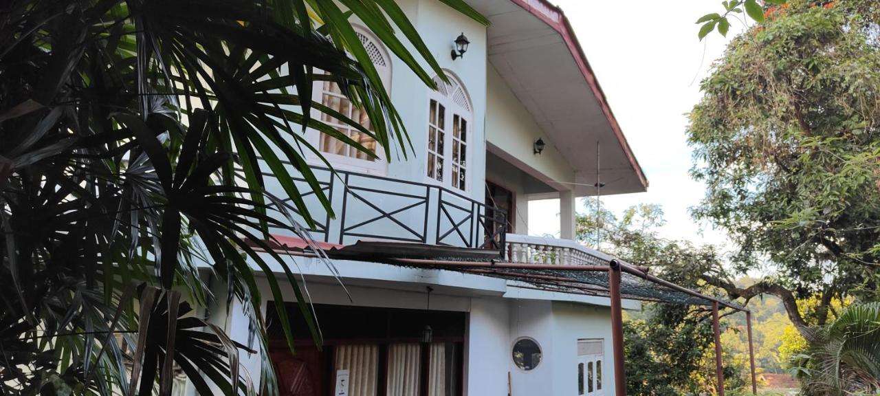 Image of  Kandy 43 