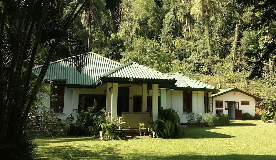 Image of  Sweet Cinnamon Kandy 