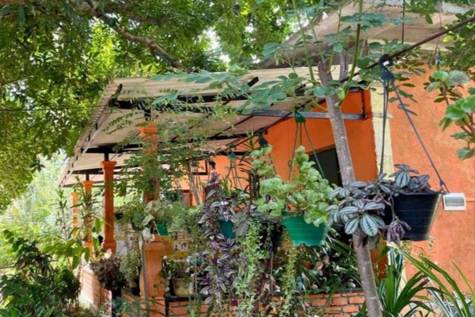 Image of  Oleena Home Stay 