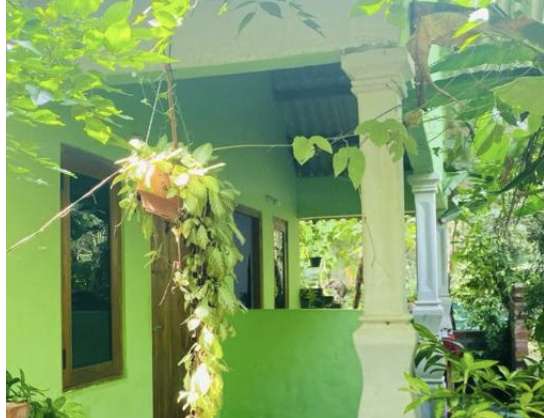 Image of  Forest Villa Nature Resort 