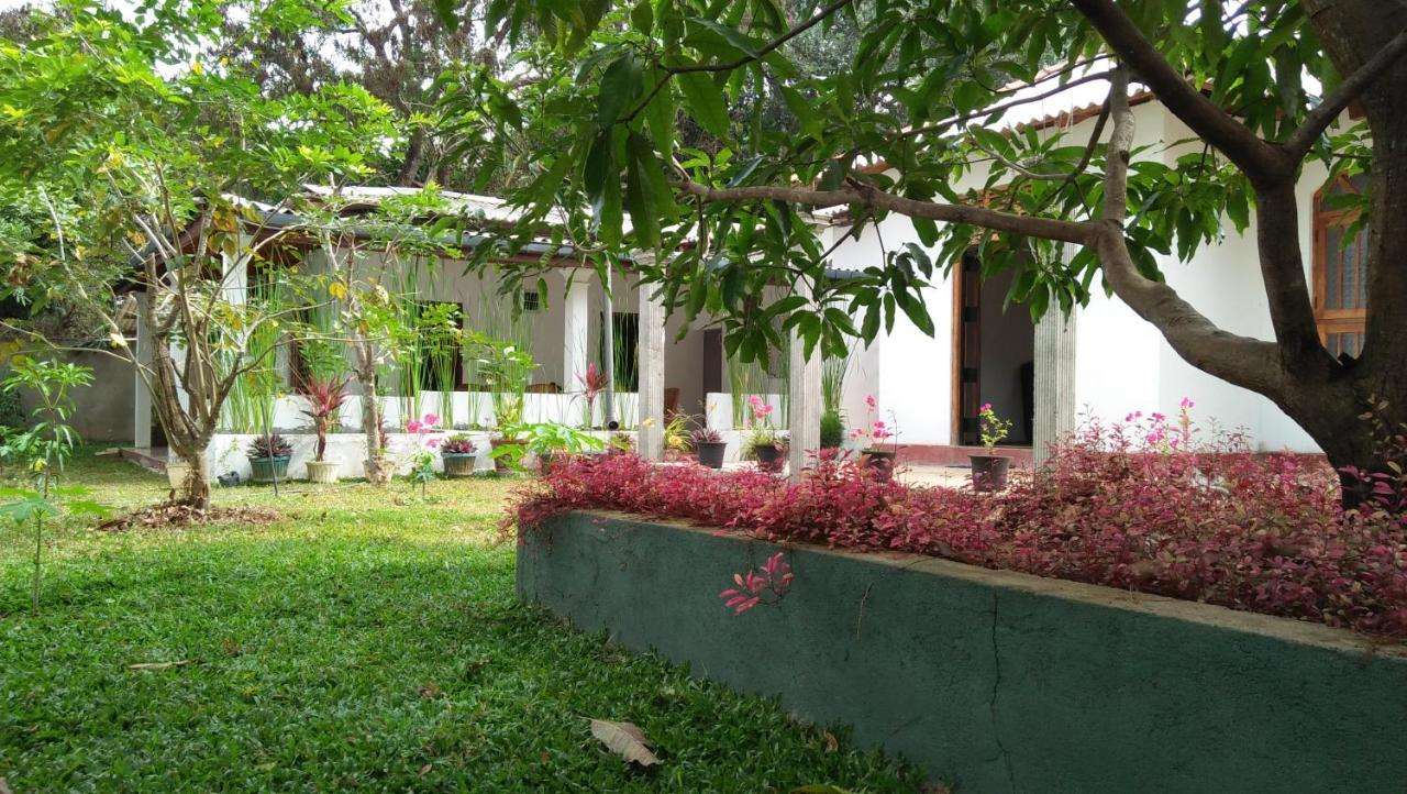 Image of  Disna Homestay 