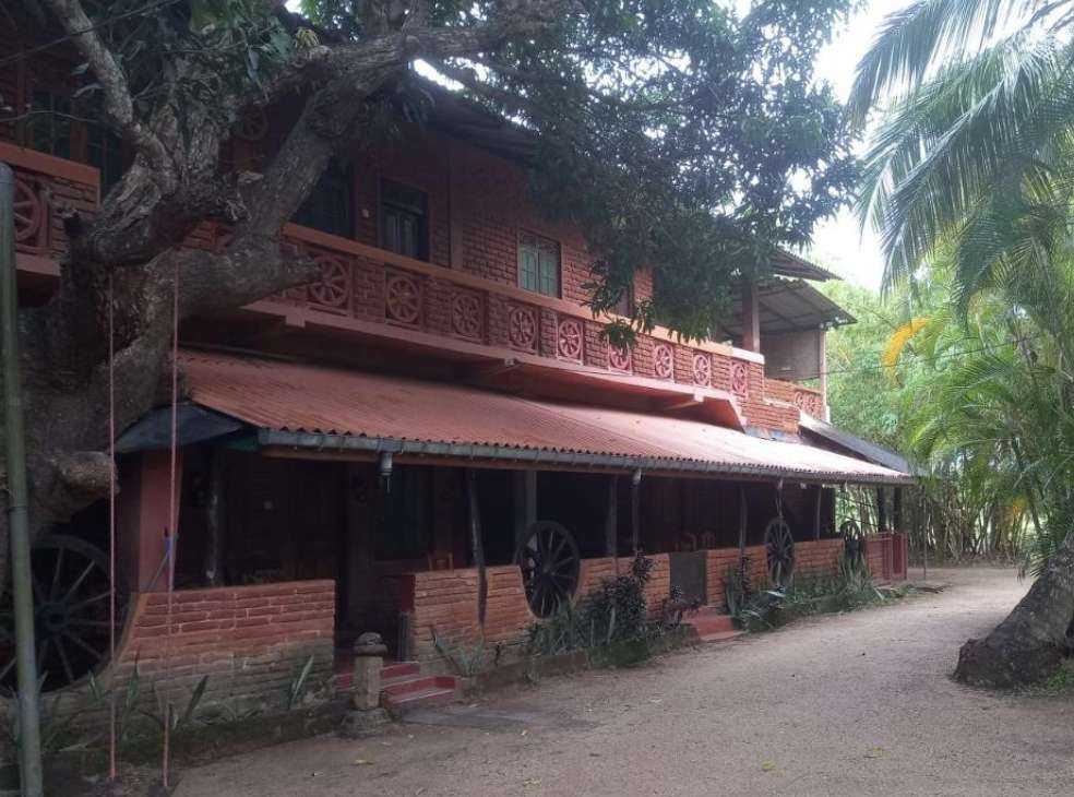 Image of  Bamboo Garden 