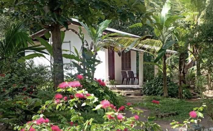 Image of  Sanjana Home Stay 