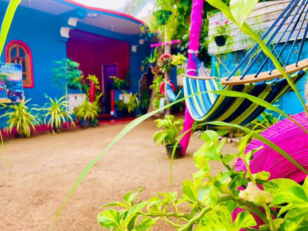 Image of  Hema Holiday Villa 