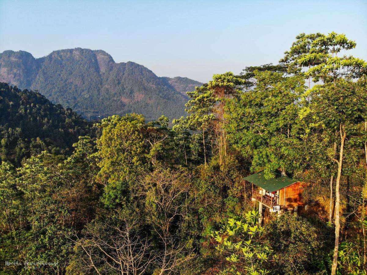 Image of  Tree Houses by Jungle River 