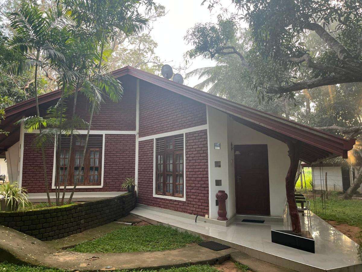 Image of  Royal Green Garden 