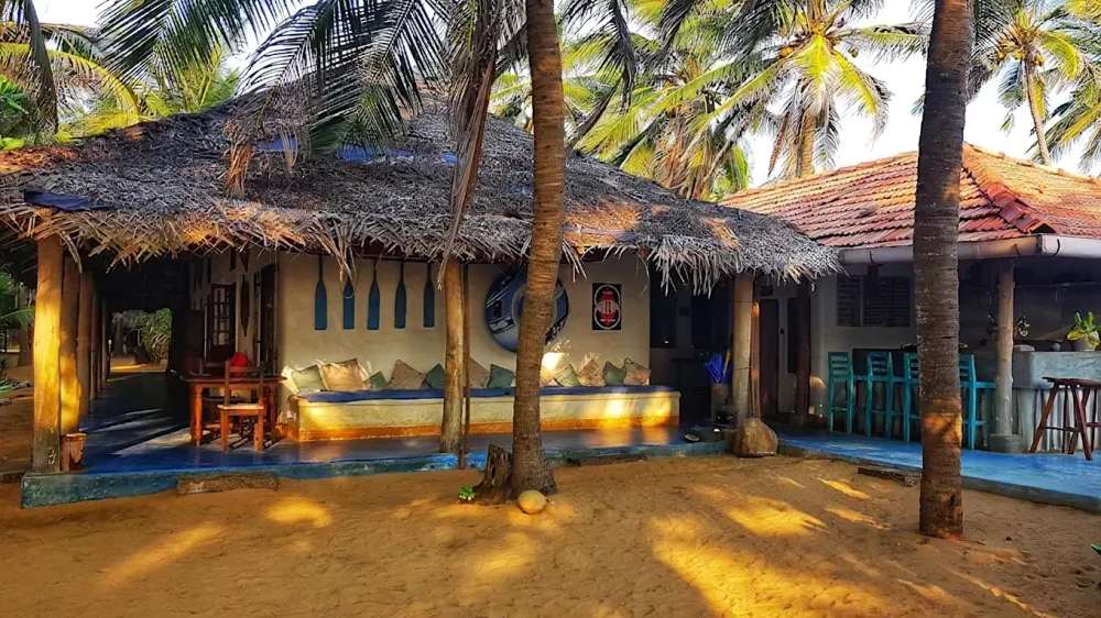 Image of  Dolphin Beach Resort 