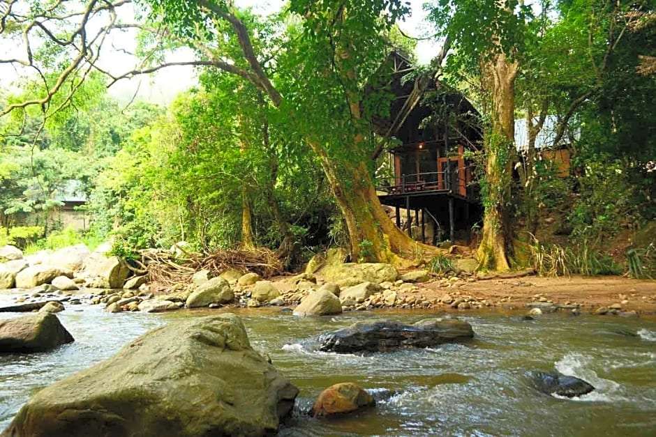 Image of  Ella Jungle Resort 
