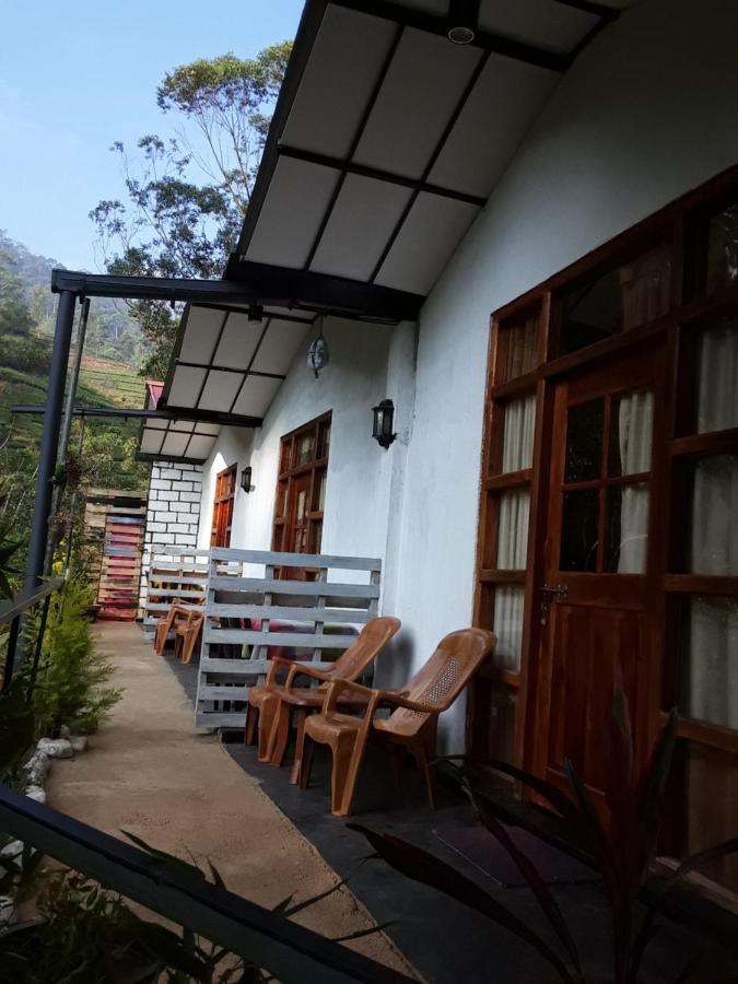 Image of  Lily adam's peak 