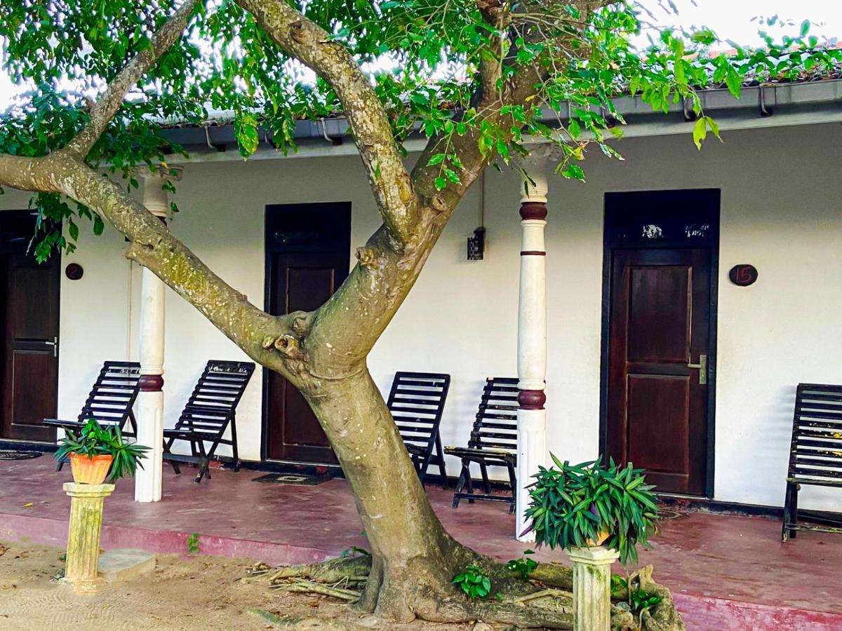 Image of  Sea Green Hotel Kalpitiya 