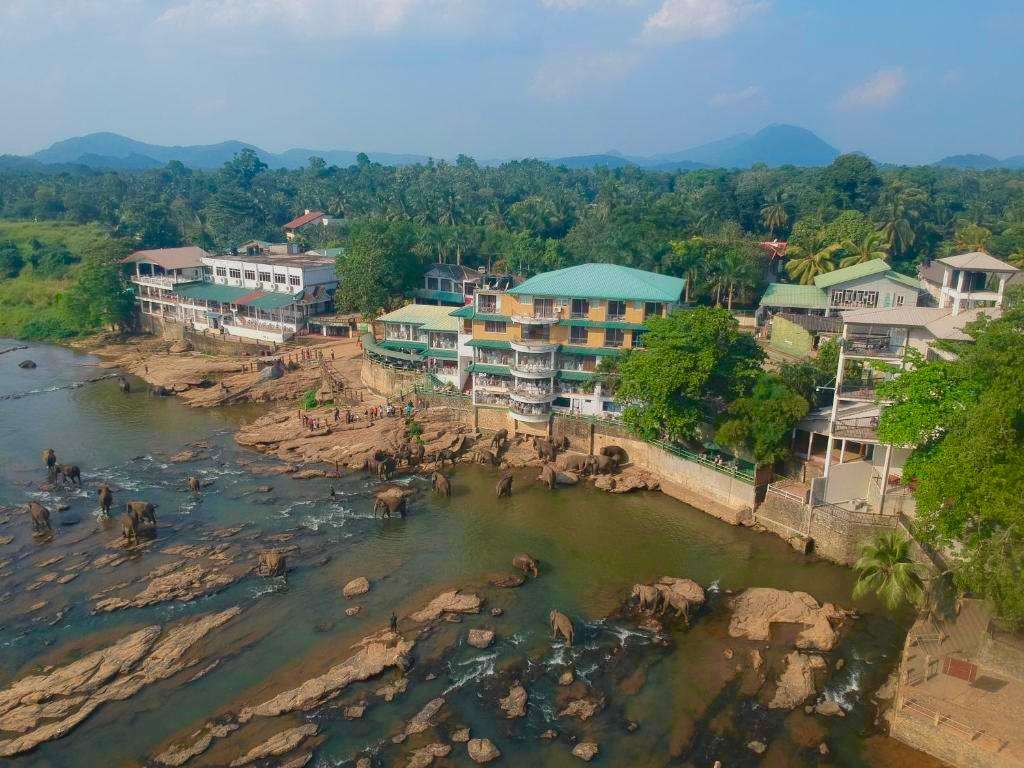 Image of  Hotel Elephant Park 
