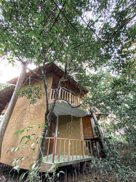Image of  Seasons Four Mini Jungle Cabana 