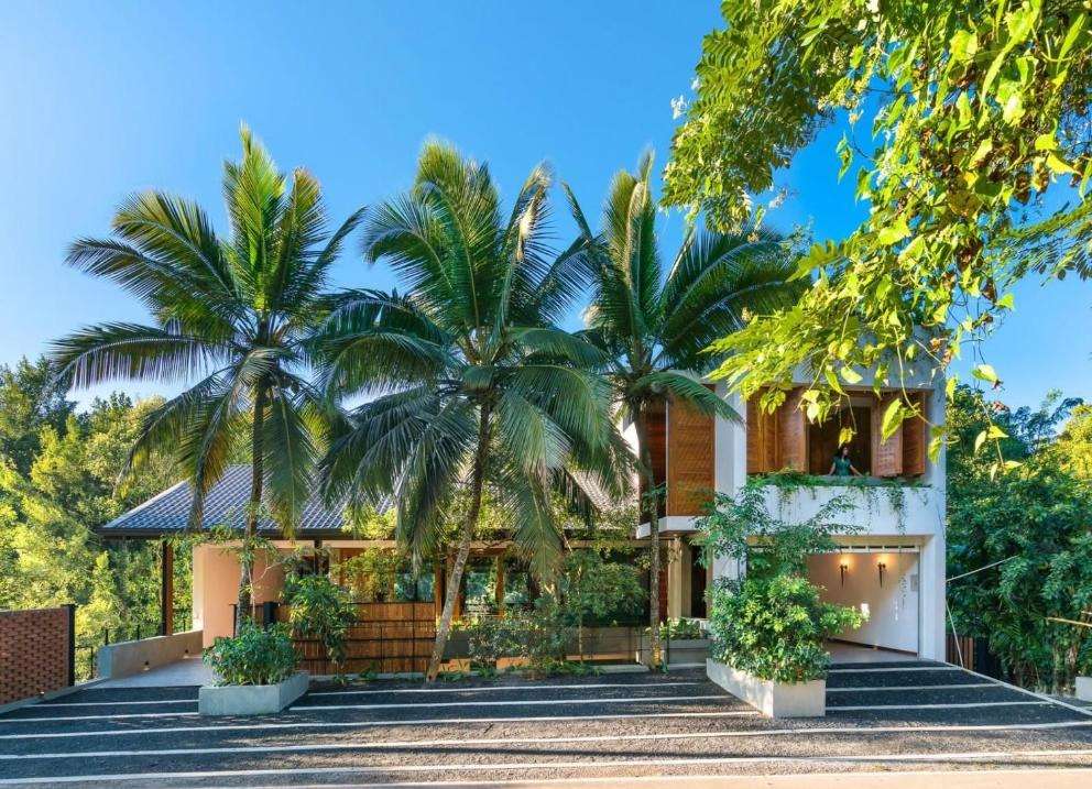 Image of  Paradise Itzu 