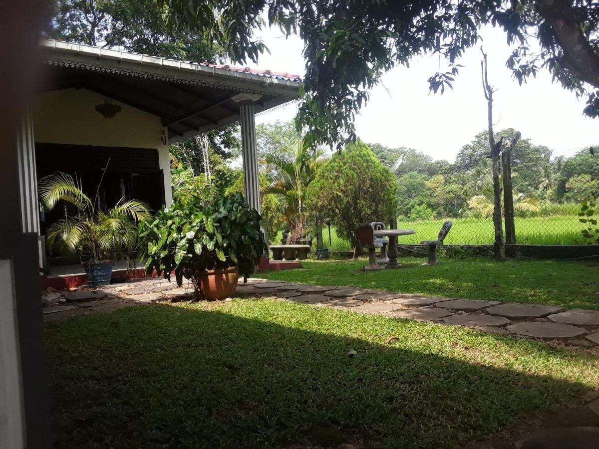 Image of  Hansika Guest Inn 