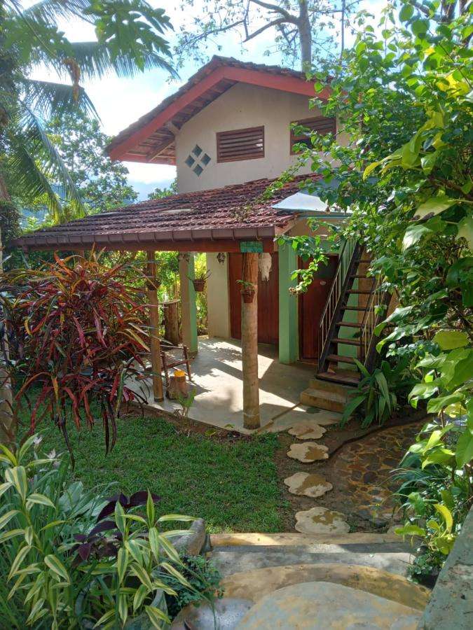 Image of  Natural Mystic Sanctuary 