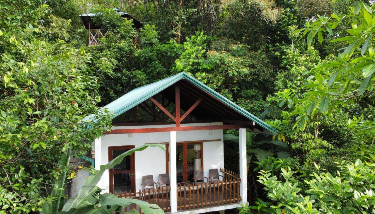Image of  Sinharaja Rest 