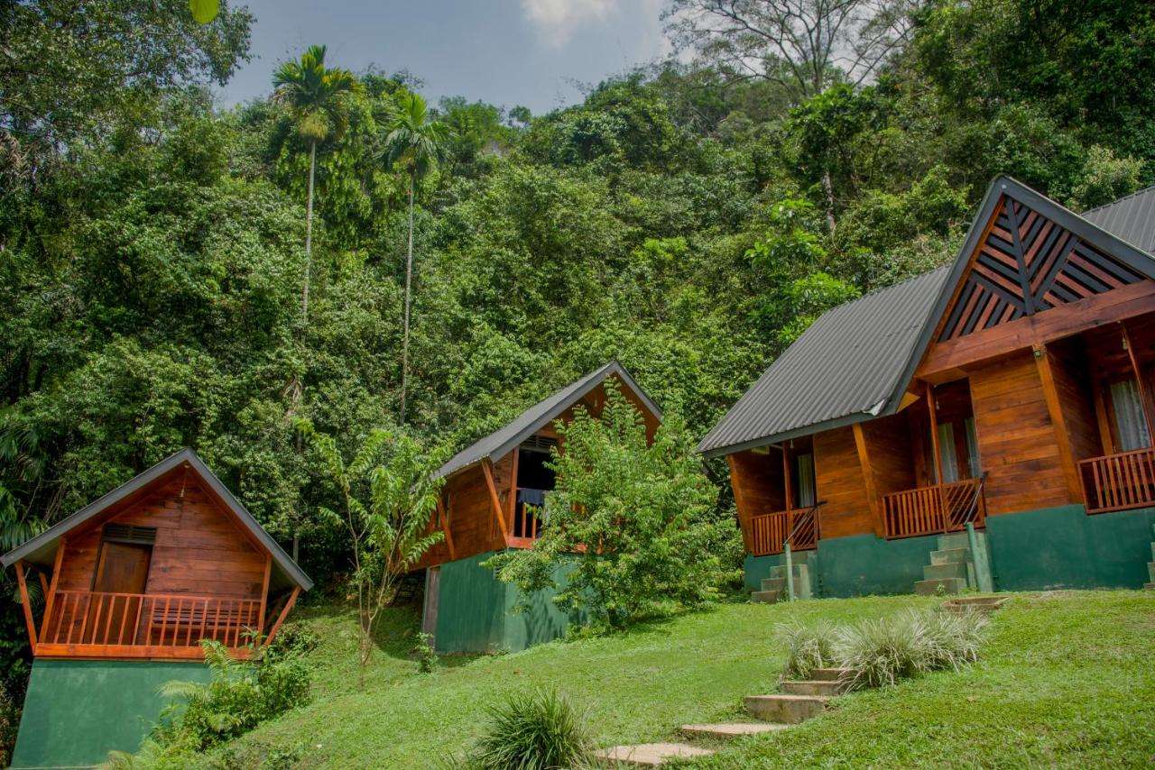 Image of  Sinharaja Forest Gate 