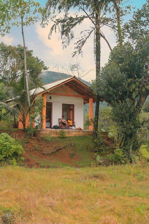 Image of  Forest & Fields Sinharaja 