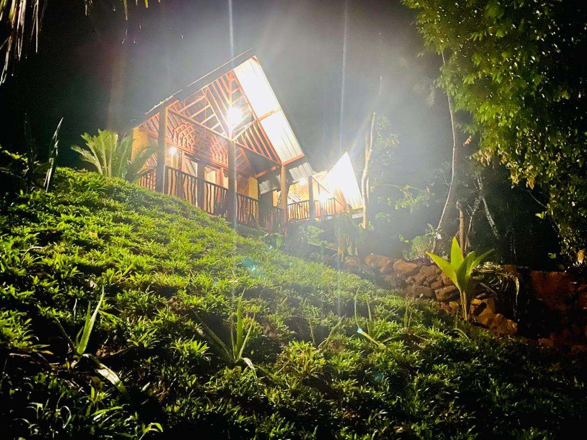 Image of  The Rainforest Hideaway 