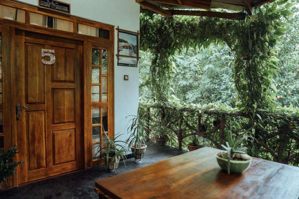 Image of  Aloe Vera Guest House 