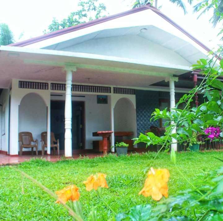 Image of  Rainforest Holiday Inn 